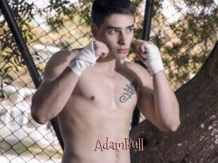 AdamBull