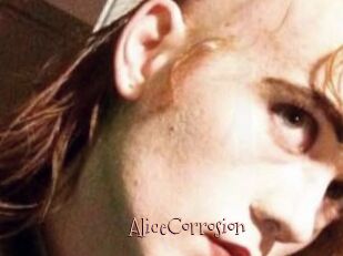 AliceCorrosion