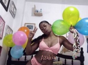 Azaleia