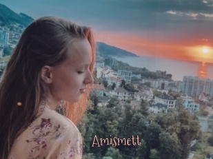 Amismett