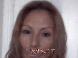 BANDACOOT