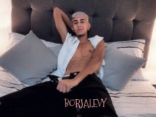 BORJALEVY