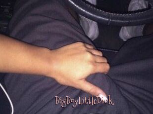 BigBoyLittleDick