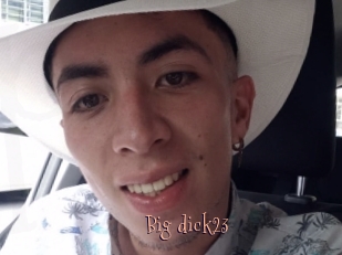 Big_dick23