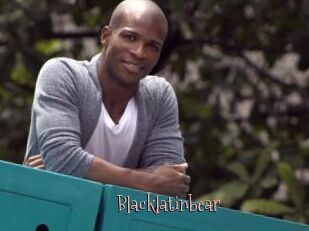 Blacklatinbear