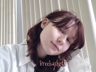 Breebaskett