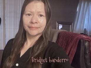 Bridget_banderro