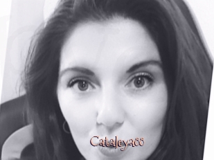 Cataleya88