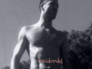 Davidmodel