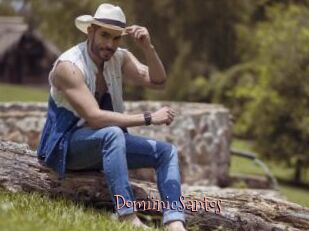 DomiinicSantos