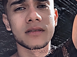 Davidsexibig