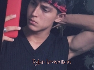 Dylan_brown15cm