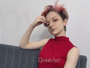 Elvaatcher