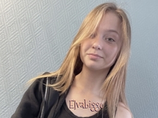 Elvabigge