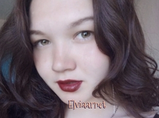 Elviaarnet