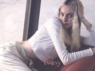 Evalevy