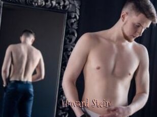 Howard_Stein