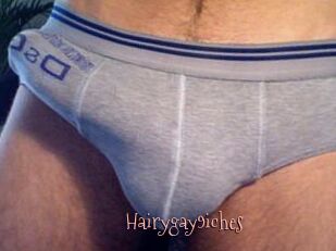 Hairygay9iches