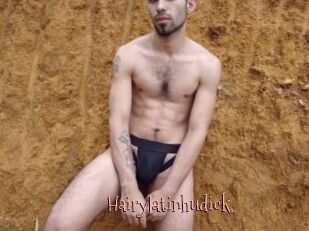 Hairylatinhudick