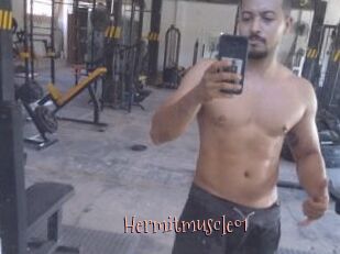 Hermitmuscle01