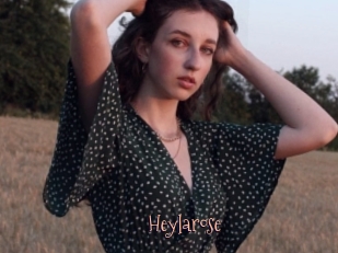 Heylarose