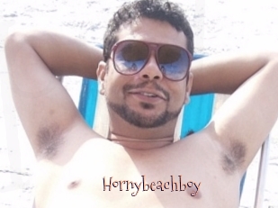 Hornybeachboy