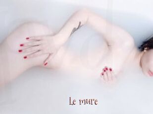 Le_mure