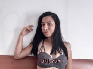 Littlemini