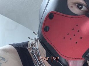 Logan_pup