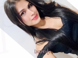 Luzneidy