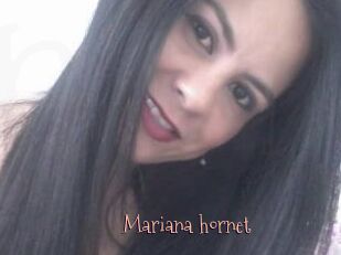 Mariana_hornet