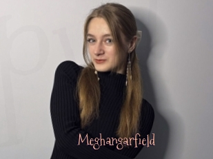 Meghangarfield