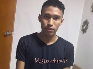 Mestizochino23