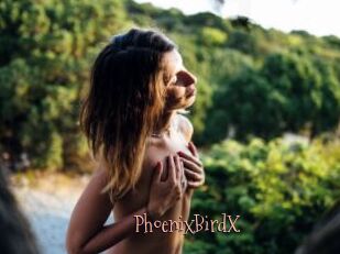 PhoenixBirdX