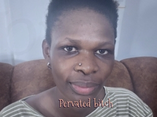 Pervated_bitch