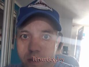 Pervertsexyboy