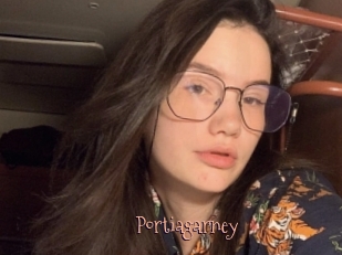 Portiagarney