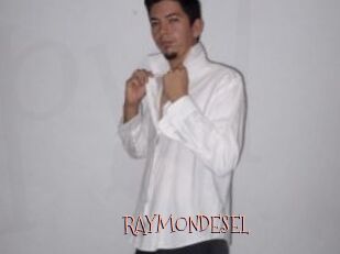 RAYMONDESEL