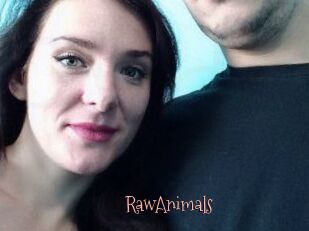 RawAnimals