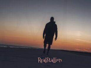 RealStallion