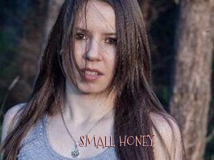 SMALL_HONEY