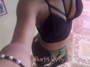 Sharlot_bunny