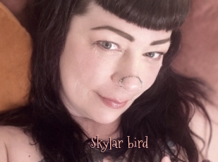 Skylar_bird