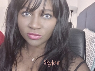 Skyleur