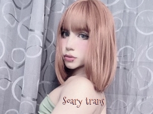 Soary_trans