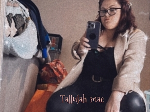 Tallulah_mae