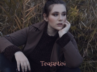 Tinasantini