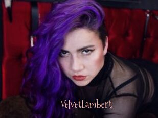 VelvetLambert