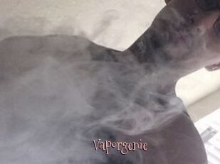 Vapor_genie