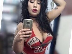 Venusvelvet